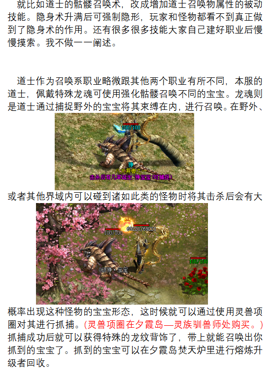 ［包安装本店亲测]传奇世界单机三无特色版本界域传说精品经典复古耐玩法大改星河引擎/带后台GM后台/新玩法/带后台GM/一键全自动安装带教程